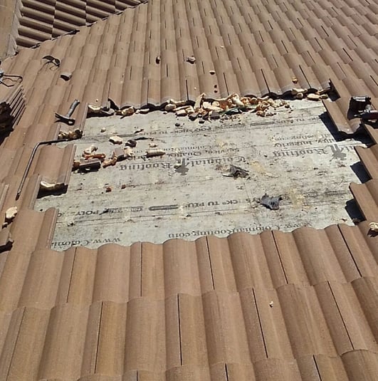 5-Jul 25, 2017 12-45-14-wAYh-1