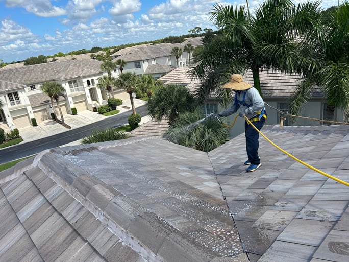 tampa bay roofer roof cleaning algae