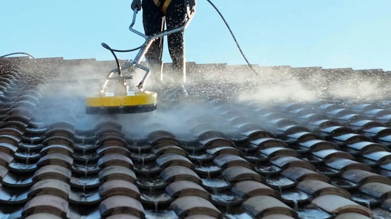 roof_cleaning___treatment_LP_(2)-1