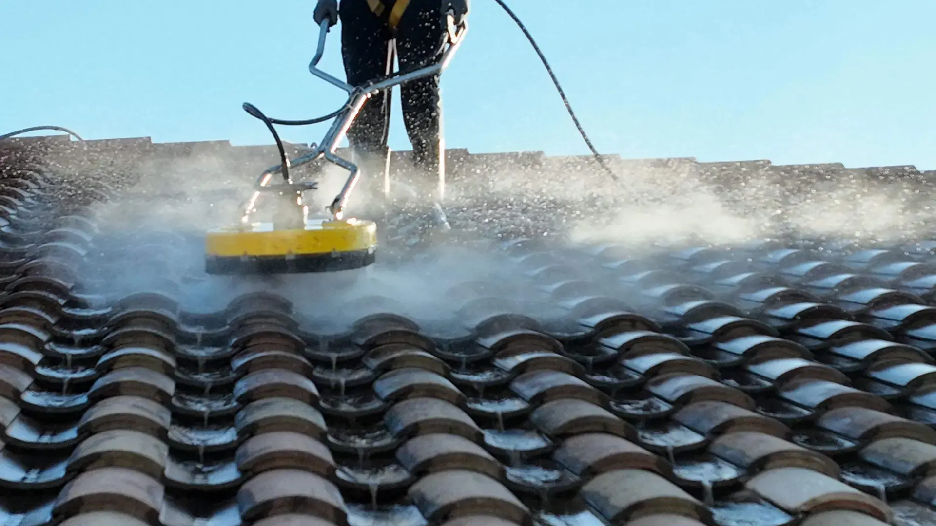 roof_cleaning___treatment_LP_(2)-1